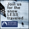 Winter Wildlands
