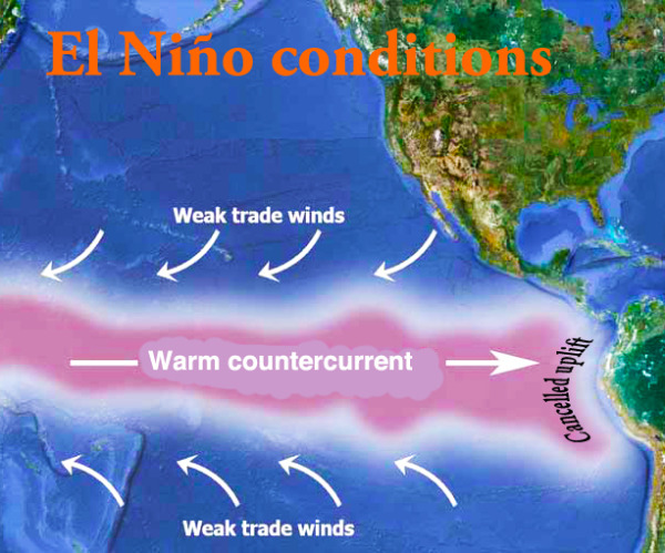 El Nino And Snow Forecast For Northern Winter 201415 Snowshoe Magazine