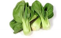bok choy