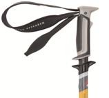 msrpole