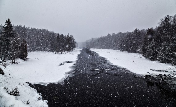 river in Algonquin Park, Ontario