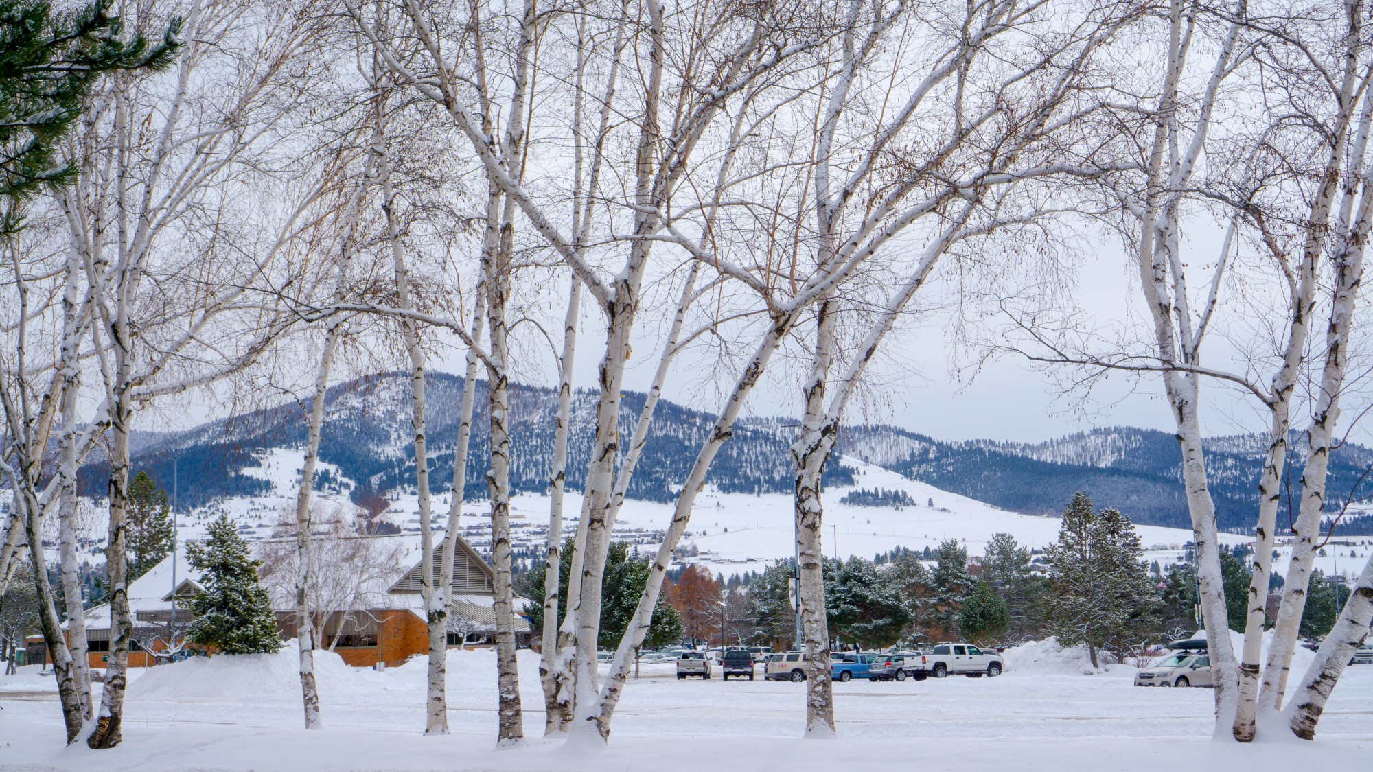 Destinations Missoula Snow • Snowshoe Magazine