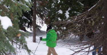man snowshoeing in green jacket with poles in trees