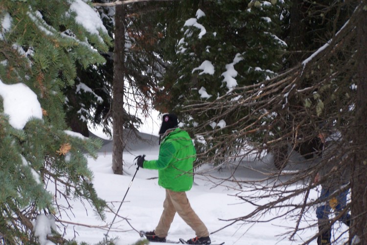 man snowshoeing in green jacket with poles in trees