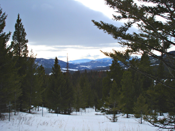 View of Bridger Canyon