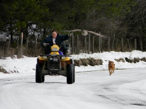 A family outing. flying, running and riding all in one.