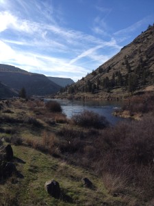 Stopped to capture this beautiful scenery on the way to Central Oregon