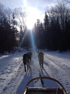 Dog Sled Adventure Le Baluchon