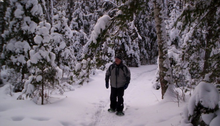 senior snowshoeing alone and surrounded by trees