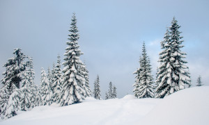 Morning views from your tent door are one of the highlights of snowshoe camping.