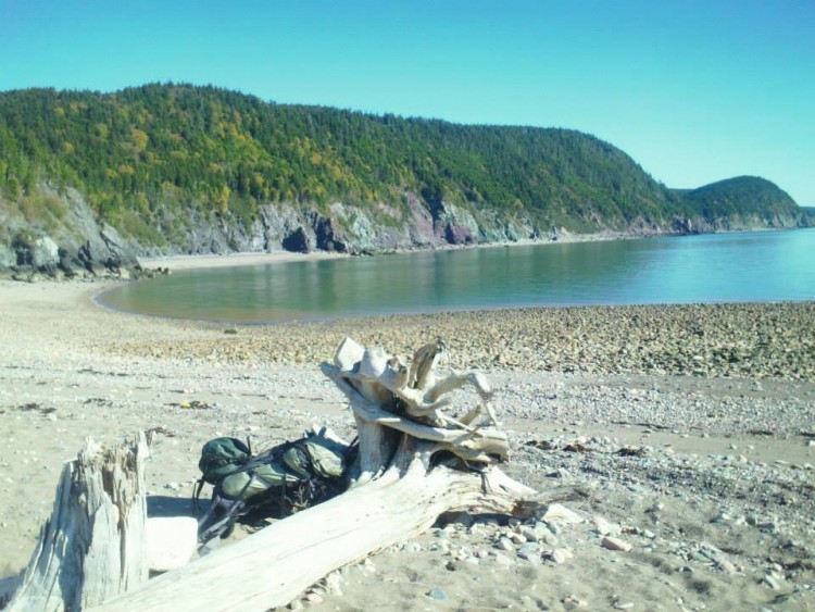 camping in maritime provinces: beach with tow tide and fallen tree in foreground