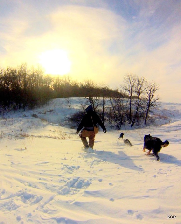 man snowshoeing down hill with dogs