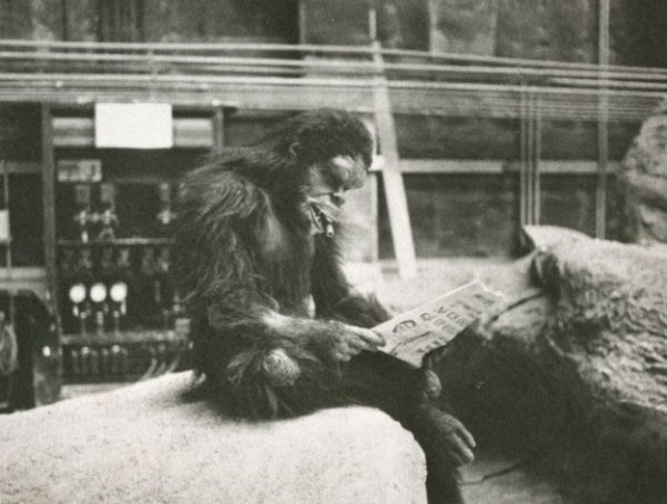 Some days you may feel like one of the chimps in Stanley Kubrick's movie 2001 A Space Odyssey.