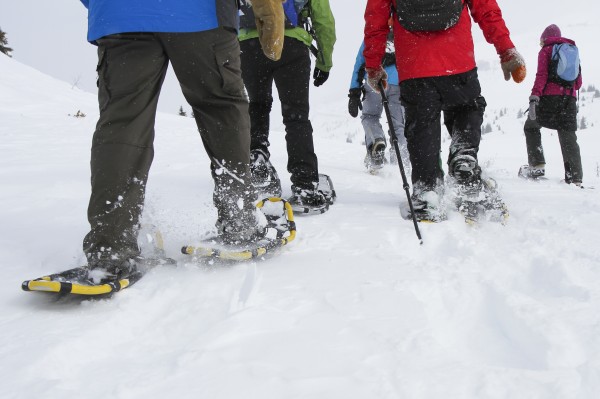 Snowshoeing at Sunshine Village Resort