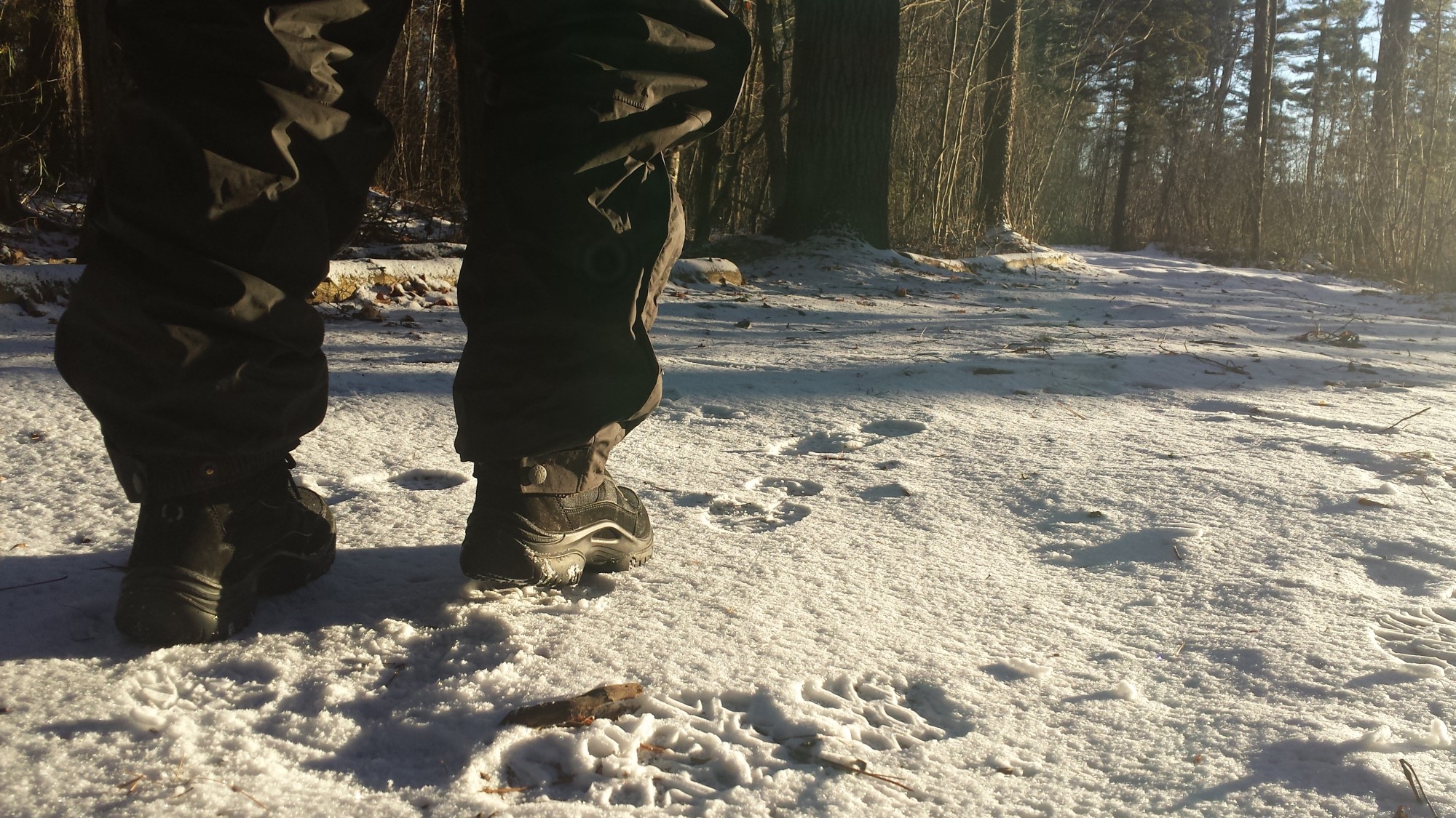 Gear Review LOWA Trident II GTX WS Snowshoe Magazine