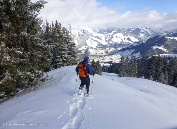 11 Jan 2015 - Monts Chevreuils, Swiss Alps