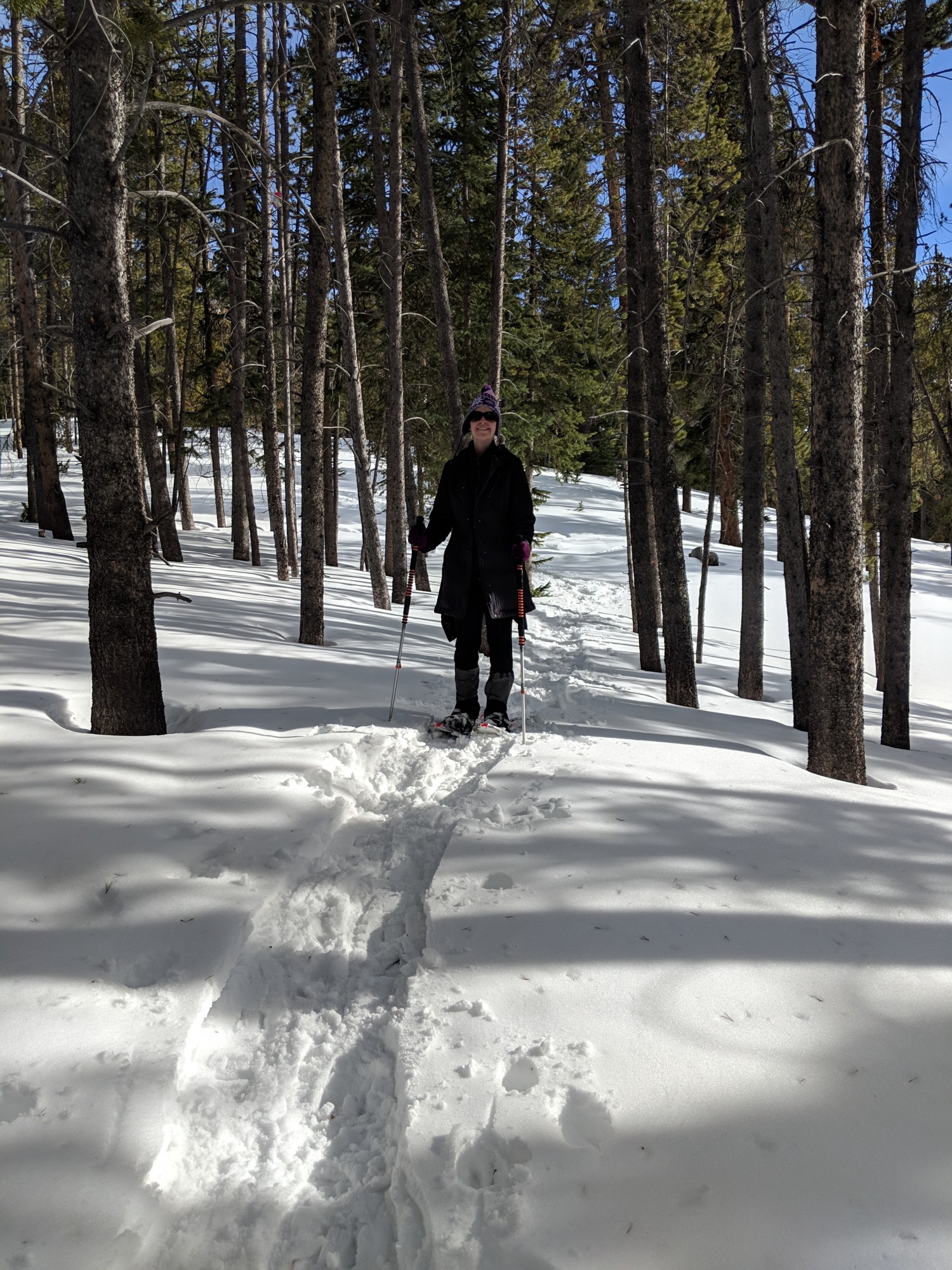 woman snowshoeing in a group of trees