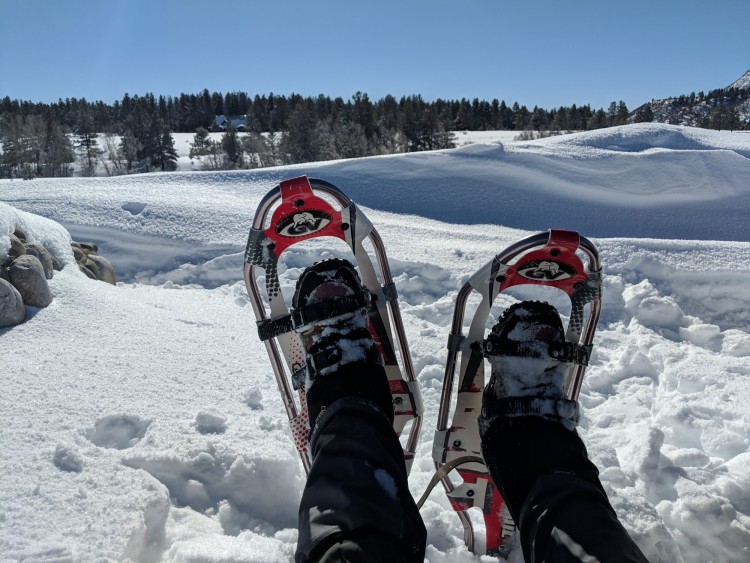 snowshoes while relaxing on snowshoe hike in Chama, NM