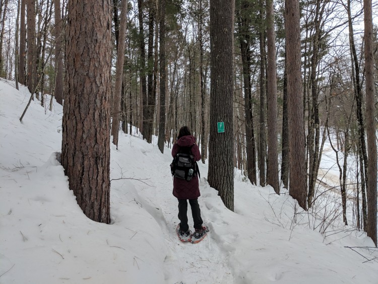 woman snowshoeing in trees
