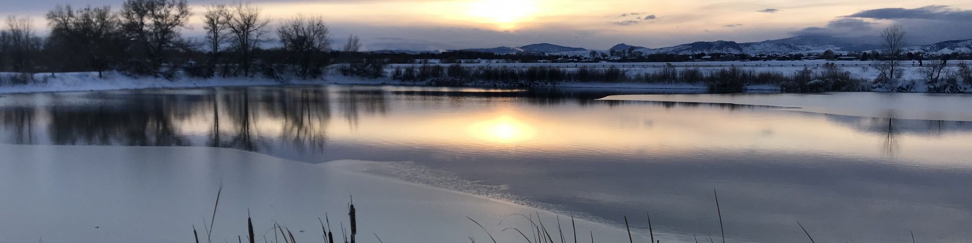 partially frozen lake with sunset reflection and reeds in foreground