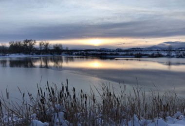 partially frozen lake with sunset reflection and reeds in foreground