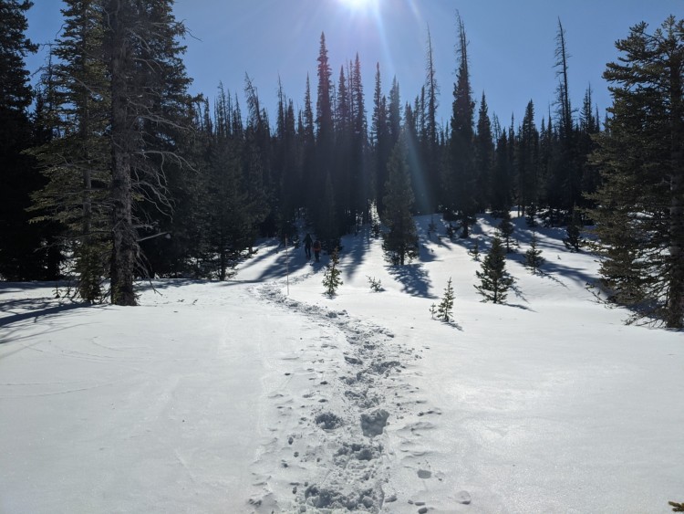 snowshoers in distance and snowshoe tracks near Zimmerman Lake, CO
