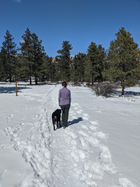 Women and dog walking trail in winter