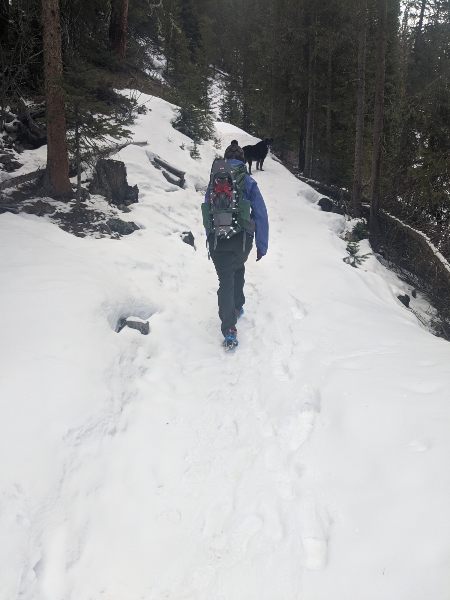 woman walking up winter trail with a dog