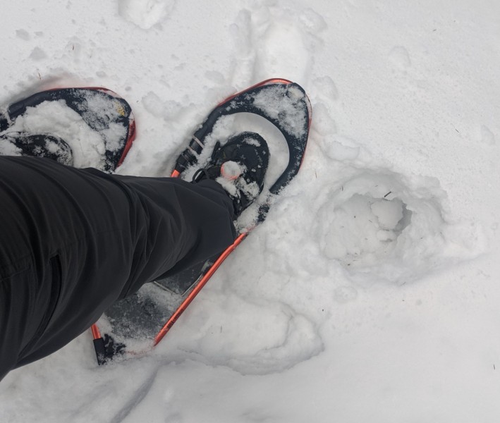 testing Atlas snowshoes