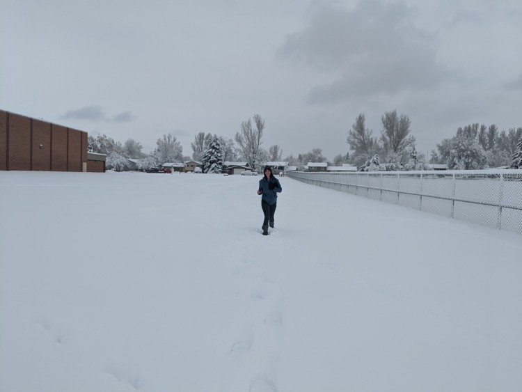 snowshoeing tips near home: person snowshoeing in park after a snowstorm