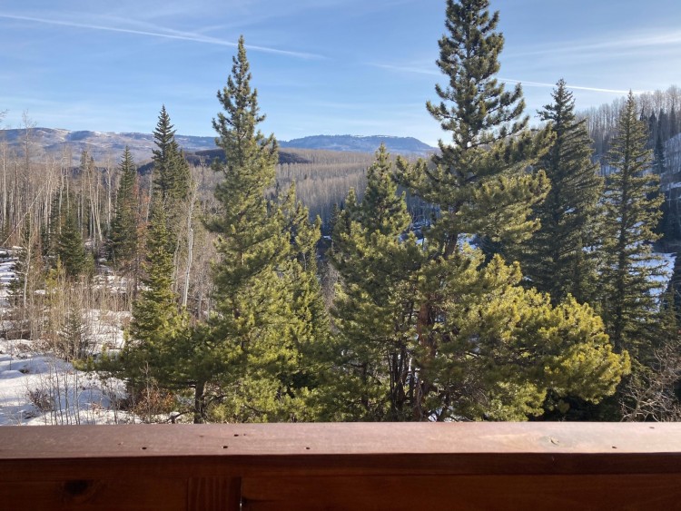 view from balcony at Wild Skies Cabin in Colorado wilderness -trees mountains and open sky in background