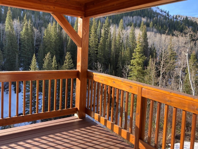 view off of balcony at Wild Skies Cabin in Colorado wilderness with trees in background