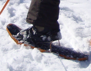 Ankle injuries are common in snow sports. 
