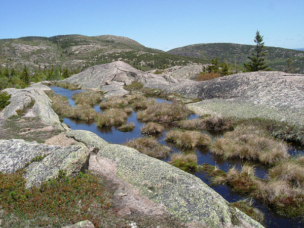 800px-Acadia_National_Park