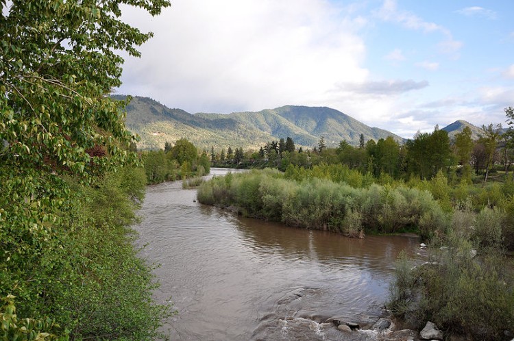 river surrounded by trees and mountains in background
