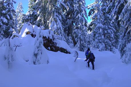 snowshoeing on Mount Seymour