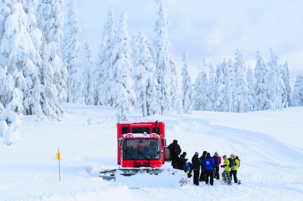 Photo: Whistler