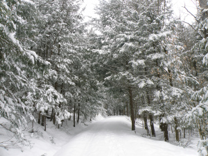 Courtesy of Marsh Billings Rockefeller National Historical Park