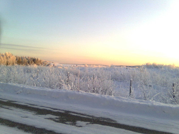 A lane in Winter