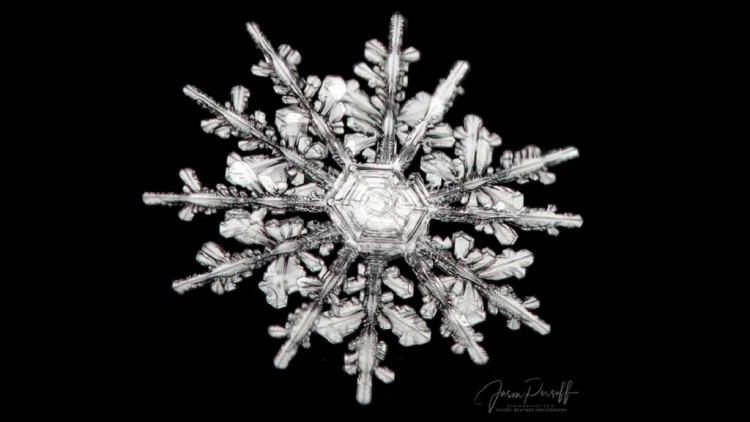 up close rare 12 sided snowflake on black background