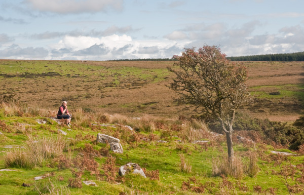 "A walk on Bodmin Moor, Cornwall (6), 30 Sept. 2010 - Flickr - PhillipC" by Phillip Capper from Wellington, New Zealand 