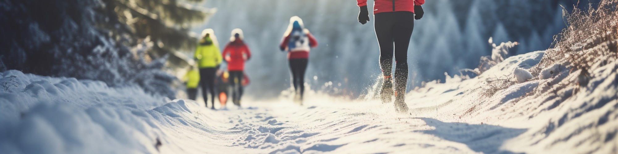 snowshoers running on trail