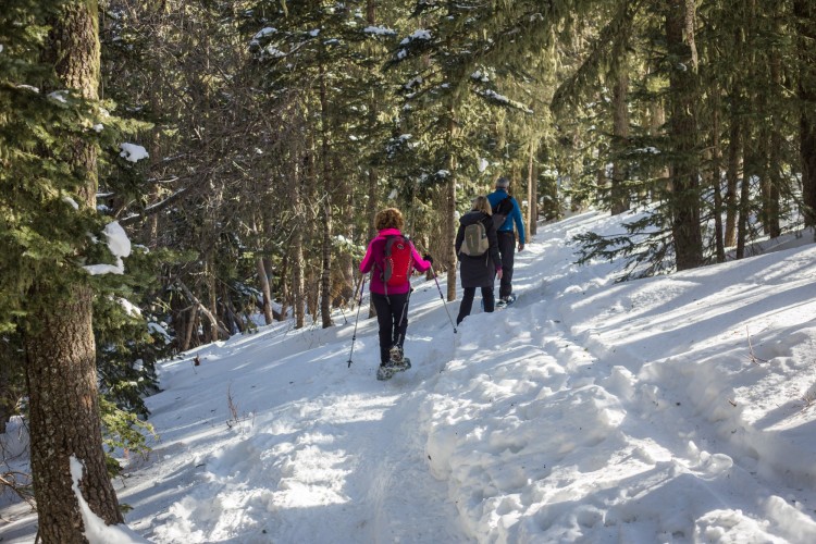 snowshoes walking on a mountain trail surrounded by trees