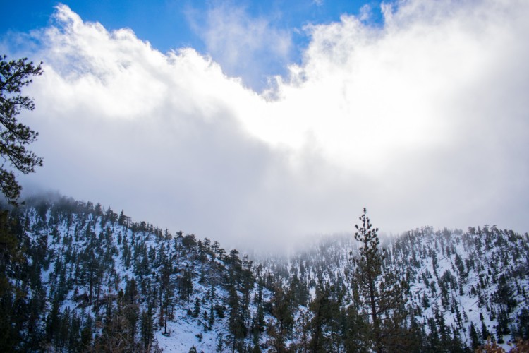 snow covered mountain of Angeles National Forest