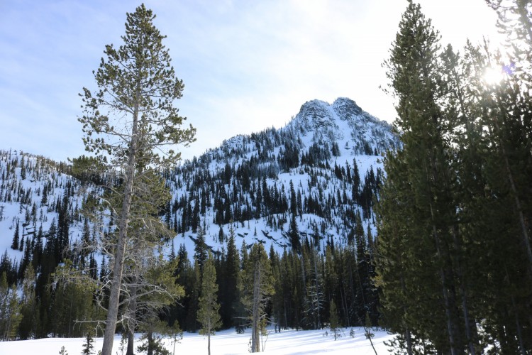 view of Gunsight Mountain in winter with sun shining through trees