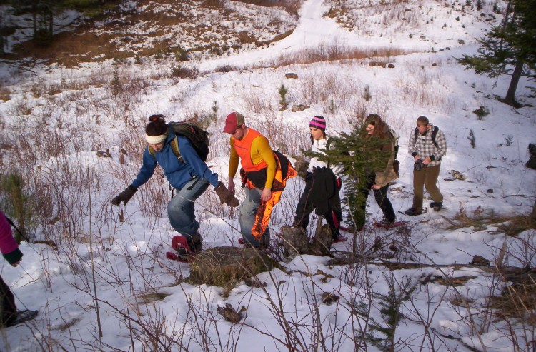 group of students walking up a hill