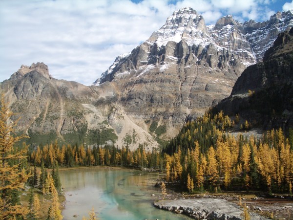 Lake O'Hara's Opabin Plateau