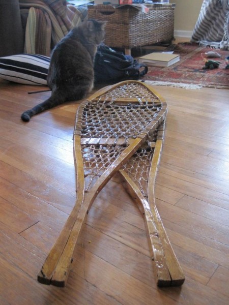 cat in front of traditional wooden snowshoes