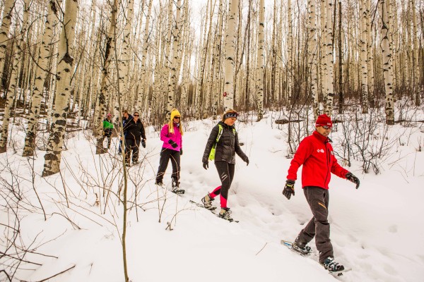 Beaver Creek Gourmet Snowshoe Adventures