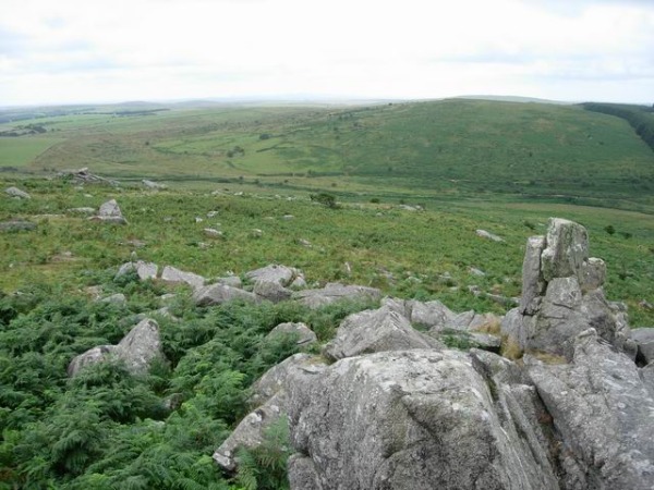 "Bodmin Moor hillside - geograph.org.uk - 222668" by Hugh Venables 